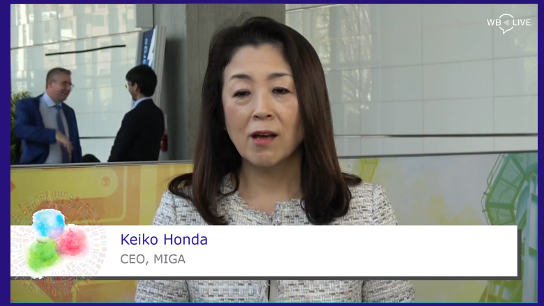 Spring Meetings 2018 Global Voices: Interview with Keiko Honda